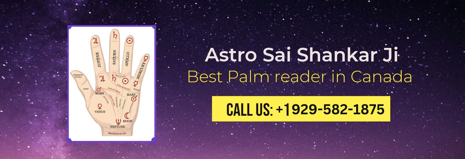 Pandit Sai Shankar Astrology Services Banner